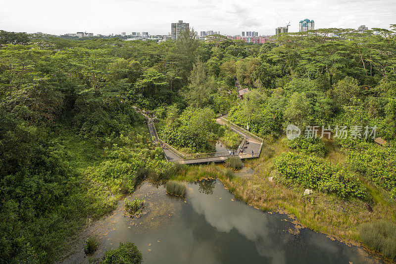 新加坡湿地自然公园(Rifle Range nature park)高角度景观